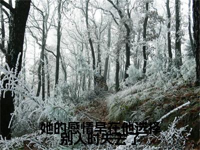 她的感情早在他选择别人时失去了(楚逸辰苏落灵)全文免费阅读无弹窗_楚逸辰苏落灵小说_笔趣阁