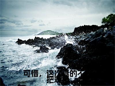 可惜,这次真的不是把戏了全文免费阅读无弹窗大结局-云芸慕容时在线阅读