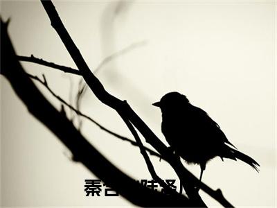陆泽川秦含秋小说(秦含秋陆泽川)全文免费阅读_秦含秋陆泽川最新章节列表笔趣阁(陆泽川秦含秋)