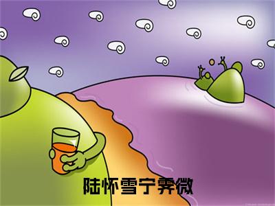 陆怀雪宁霁微宁霁微陆怀雪全文小说-陆怀雪宁霁微小说最新章节免费阅读