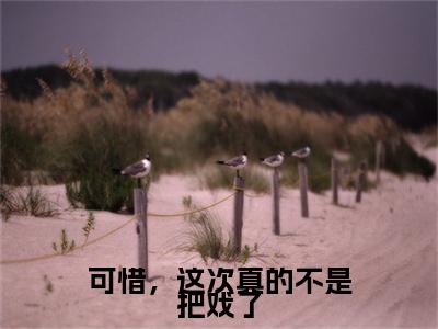 云芸慕容时(可惜,这次真的不是把戏了)在哪免费看-小说(可惜,这次真的不是把戏了)全文完整版免费阅读云芸慕容时