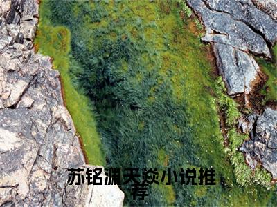 一手掌生死，一剑断万古（ 苏铭渊天焱）全文小说在线阅读-一手掌生死，一剑断万古全章节最新阅读