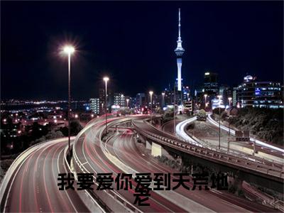 钟子郁盛可可免费阅读无弹窗大结局,我要爱你爱到天荒地老最新章节
