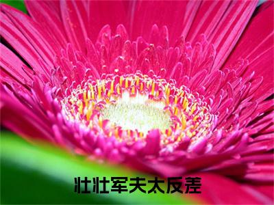 壮壮军夫太反差，看见她就脸红啦小说（ 徐娇陈兰芳）全文免费壮壮军夫太反差，看见她就脸红啦阅读无弹窗大结局-（ 徐娇陈兰芳）笔趣阁