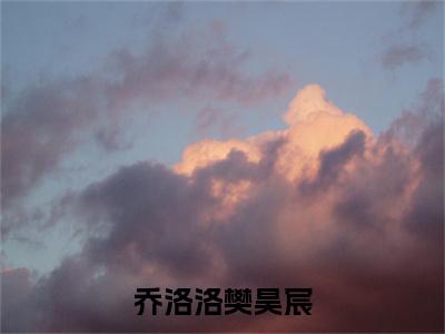 乔洛洛樊昊宸全文(樊昊宸乔洛洛)小说免费阅读无弹窗大结局_ 乔洛洛樊昊宸全文无弹窗完整版阅读