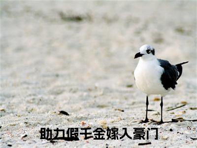 助力假千金嫁入豪门阅读无弹窗大结局_（纪辛淮商立衡阅读无弹窗）最新章节列表_笔趣阁