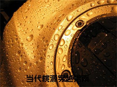 当代桃源穿越指南 （何霜徐元礼）全文免费阅读无弹窗大结局_（何霜徐元礼）最新章节