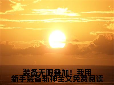 装备无限叠加！我用新手装备斩神（ 林炎马氪金）精选热门小说-小说（装备无限叠加！我用新手装备斩神） 林炎马氪金全文免费阅读最新章节列表