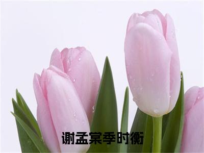 谢孟棠季时衡（季时衡谢孟棠）全文免费阅读无弹窗大结局_季时衡谢孟棠最新章节列表_笔趣阁（谢孟棠季时衡）