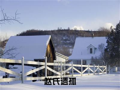 赵氏遗孤全文免费在线阅读大结局_（ 永安萧承默免费阅读无弹窗）赵氏遗孤全文免费完结版阅读（ 永安萧承默）