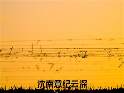 纪云深沈南意(沈南意纪云深)全文免费阅读无弹窗_沈南意纪云深最新小说_笔趣阁(纪云深沈南意)