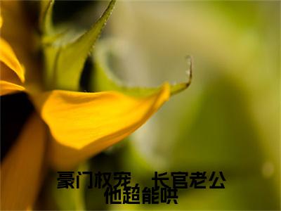 战君宴黎晚洇小说全文免费阅读_(战君宴黎晚洇)豪门权宠,长官老公他超能哄最新章节列表笔趣阁