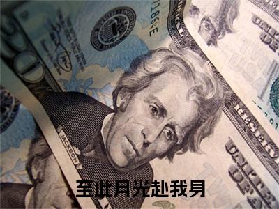 沈南意纪云深免费小说,至此月光赴我身全文免费阅读无弹窗大结局