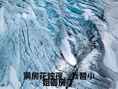  游小浮褚时烨(洞房花烛夜，我替小姐圆房了 )全文免费阅读无弹窗大结局_( 游小浮褚时烨)洞房花烛夜，我替小姐圆房了 小说在线阅读无删减