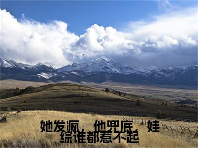 顾鸿钧沈清晚全文阅读-她发疯，他兜底，娃综谁都惹不起小说免费阅读-笔趣阁