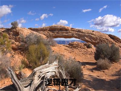 逻辑鬼才( 张涛周南)全文免费阅读无弹窗大结局_( 张涛周南)小说免费阅读最新章节列表
