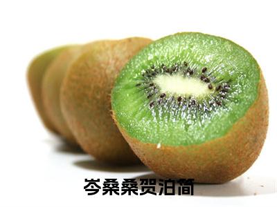 贺泊简岑桑桑最新章节（岑桑桑贺泊简）全文免费阅读无弹窗大结局_岑桑桑贺泊简小说全文免费阅读正版无弹窗_笔趣阁