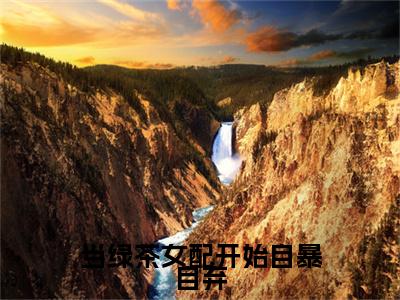 当绿茶女配开始自暴自弃是什么小说_主角是(柳萋寻季安)的小说(当绿茶女配开始自暴自弃)最新章节无弹窗阅读