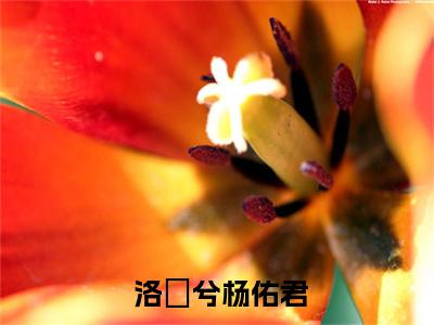 嫡女重生后，以霸道护夫震慑全城全文免费阅读无弹窗, 洛珺兮杨佑君小说最新章节列表无删减_笔趣阁