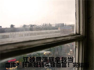 【新书】《拿我当血库？我离婚转头嫁首富！》全文免费阅读无弹窗大结局- 江晚意薄庭全章节免费阅读