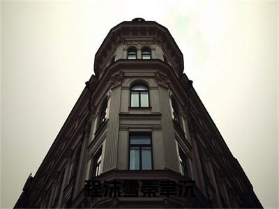 秦聿沉程沫雪程沫雪秦聿沉完整全文在线阅读 秦聿沉程沫雪全文大结局阅读无弹窗