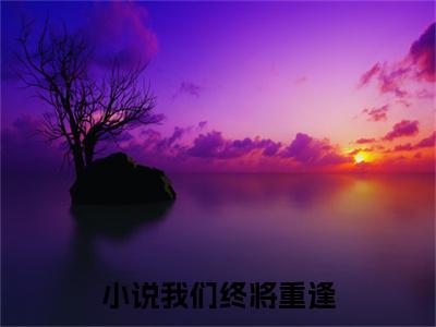  叶寒声陆云轩全文全文免费阅读_（我们终将重逢，免费阅读无弹窗）我们终将重逢，全文最新章节列表笔趣阁（ 叶寒声陆云轩）
