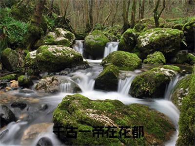  殷正赵高全文免费阅读大结局-千古一帝在花都最新章节列表-笔趣阁