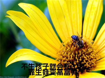 不生孩子就会死？我靠生娃变高富帅全文免费阅读无弹窗, 柯瑾瑶陆浩然小说最新章节列表无删减_笔趣阁