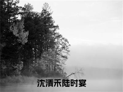 沈清禾陆时宴陆时宴沈清禾抖音热推新书小说全文阅读 （陆时宴沈清禾）全文免费阅读大结局