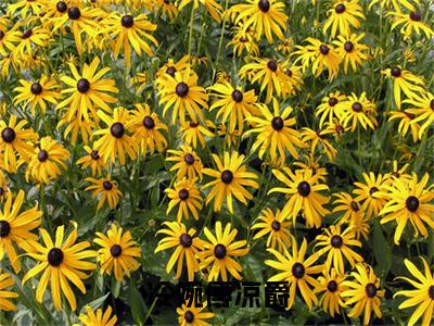 热门小说冷婉傅凉爵 全文免费阅读无弹窗大结局-冷婉傅凉爵全文无弹窗免费阅读大结局