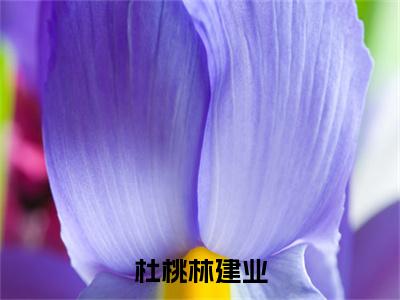 杜桃林建业小说最新章节（林建业杜桃）全文免费阅读无弹窗大结局_林建业杜桃免费阅读（杜桃林建业小说）