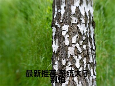 系统太子别怕,我来给你生娃了笔趣阁全文免费阅读大结局-（ 许锦意李瑾辰）最新章节列表在线阅读
