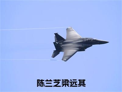 陈兰芝梁远其(梁远其陈兰芝)全文免费阅读大结局_陈兰芝梁远其全文在线完本阅读