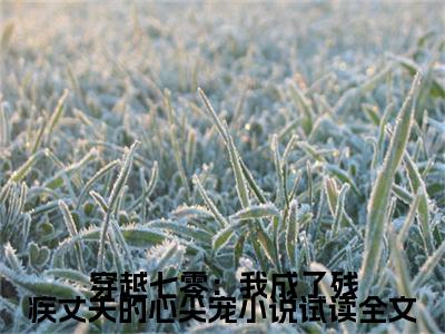  乔念瑶宋青锋（穿越七零：我成了残疾丈夫的心尖宠小说试读全文）全文免费阅读无弹窗大结局_ 乔念瑶宋青锋最新章节列表_笔趣阁（穿越七零：我成了残疾丈夫的心尖宠小说试读全文）