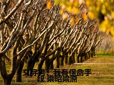 女穿男：我有保命手段小说全文免费阅读无弹窗-（ 梁昭梁原阅读无弹窗）穿越小说免费阅读_笔趣阁