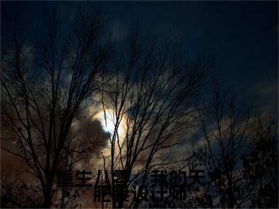 重生八零：我的天才肥妻设计师（宋涵顾宸之）全文免费大结局小说-重生八零：我的天才肥妻设计师全文最新章节阅读