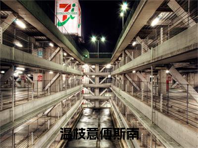 傅斯南温枝意（温枝意傅斯南）全文免费阅读无弹窗大结局_温枝意傅斯南_笔趣阁
