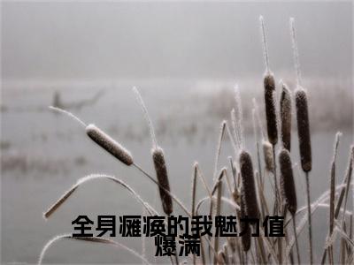 经典小说全身瘫痪的我魅力值爆满无广告小说免费阅读 李知云全章节免费阅读