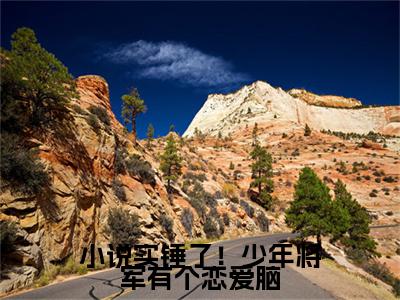 实锤了！少年将军有个恋爱脑（ 言少阳洛宁桑）最新免费阅读-实锤了！少年将军有个恋爱脑小说在线阅读