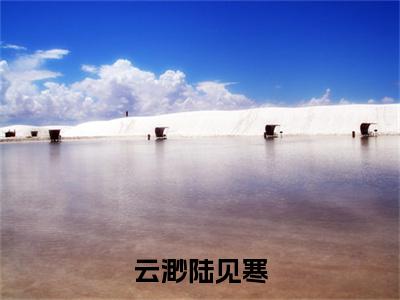 云渺陆见寒（陆见寒云渺）热门小说盘点在线阅读-云渺陆见寒小说无弹窗