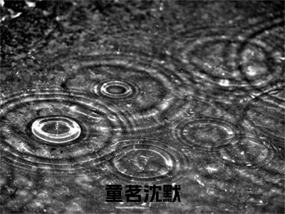 沈默童茗（童茗沈默）在线阅读小说全文无删减-童茗沈默小说大结局