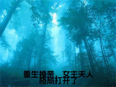 重生换亲，女主夫人格局打开了美文欣赏完整版，陆又龄程放精彩章节在线阅读