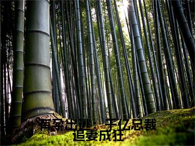 有孕出逃:千亿总裁追妻成狂小说全文免费阅读(夏时陆南沉)全文免费阅读无弹窗大结局_(夏时陆南沉)有孕出逃:千亿总裁追妻成狂小说免费阅读无弹窗最新章节列表_笔趣阁(夏时陆南沉)
