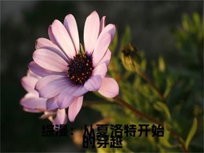 综漫：从夏洛特开始的穿越已完结小说全集阅读（总司完整版大结局）综漫：从夏洛特开始的穿越小说全文阅读笔趣阁