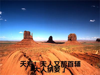 云薇顾长凌（夭寿！夫人又帮首辅大人纳妾了）全文免费阅读大结局-云薇顾长凌最新章节列表笔趣阁