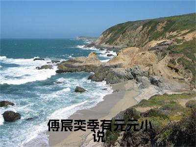 热文 傅宸奕季有元元小说全文阅读_霸总后悔开始花式追妻路（ 傅宸奕季有元元）全文免费阅读最新章节列表
