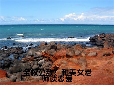  林风冷梦（全校公敌！和美女老师谈恋爱小说全文）在线阅读- 林风冷梦全文免费阅读无弹窗大结局