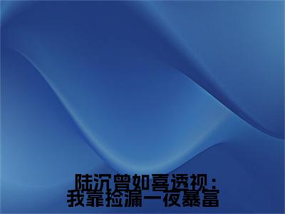 （透视：我靠捡漏一夜暴富）全文免费阅读-透视：我靠捡漏一夜暴富（ 陆沉曾如喜）最新章节列表阅读