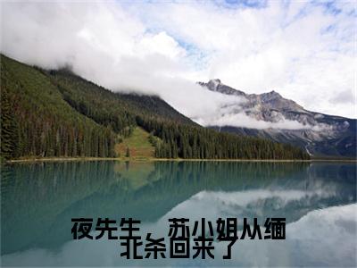 夜先生，苏小姐从缅北杀回来了免费阅读（苏清婉夜寻）完整版全文全章节阅读