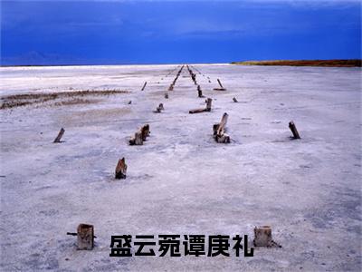 小说(盛云菀谭庚礼)谭庚礼盛云菀全文阅读-精彩美文盛云菀谭庚礼免费阅读